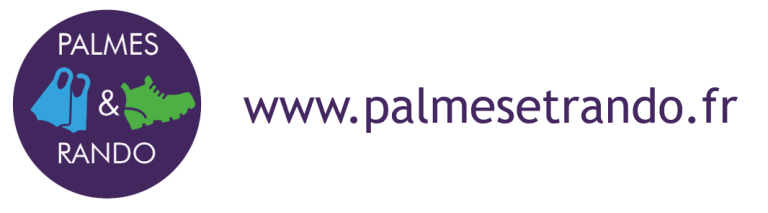 Logo Et Site Palmes Et Rando 768x213