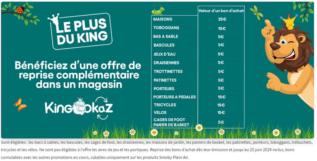 Ménage de printemps Chez King Jouet