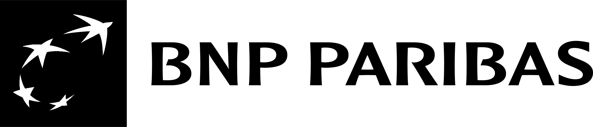 BNP Paribas Logo 2007